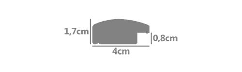 A42L · 4 × 1,7 cm